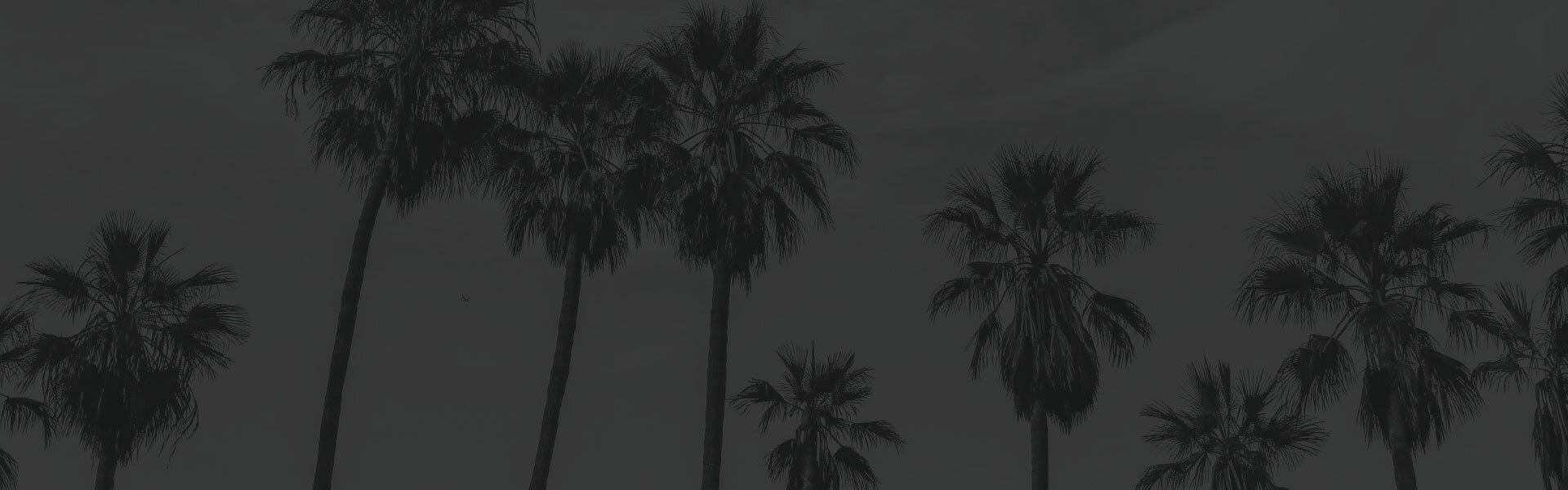 Home Page Banner Image